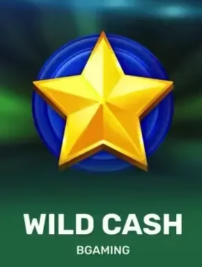 Playfina pokie